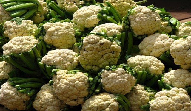 Protein kaynağıdır ve düşük oranda yağ içerir.