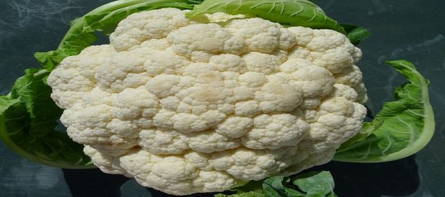Vücuttaki metabolik bozuklukların düzelmesinde etkilidir.