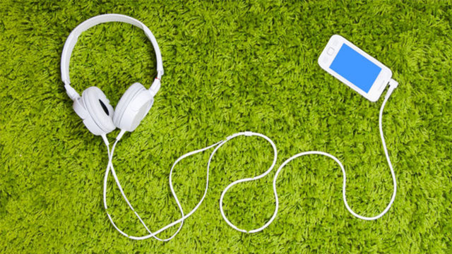 Kulaklık ve Şarj Girişi Temizliği:  - Cep telefonlarının kulaklık ve şarj girişleri çok fazla toz tutar. O sebeple telefonun en çok bakteri bulunan bölgelerine bu girişleri örnek gösterebiliriz.