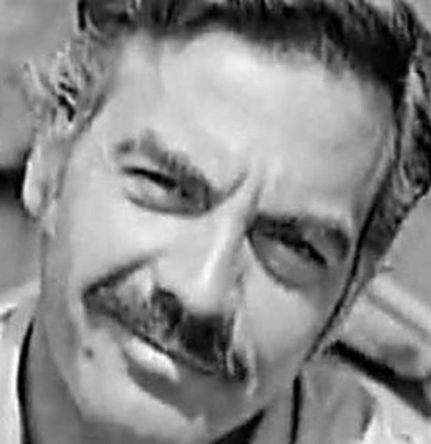 Ayhan Işık