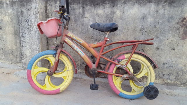 Telefon ile çekilmiş resimler oldukça başarılı.