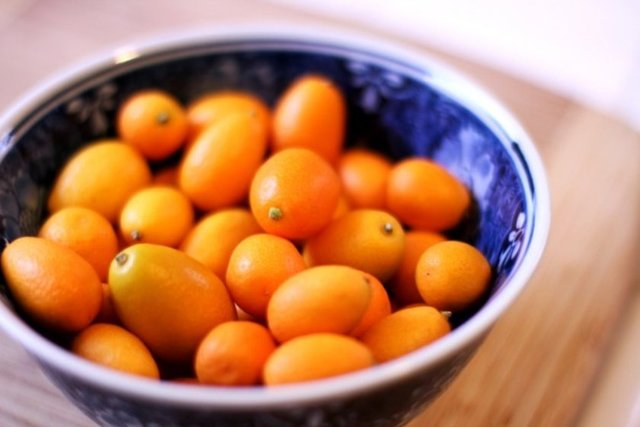 Rahatlatıcı etkisi ile vücuttaki ağrıları hafifletir, ateşi ve tansiyonu düşürür. Mide bulantısını ve baş dönmesini giderir.