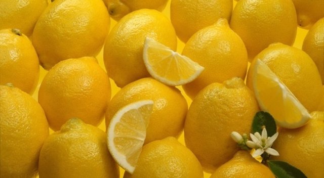 Soğuk algınlıklarına iyi gelir ayrıca sinirleri yatıştırarak insanı sakinleştirir.