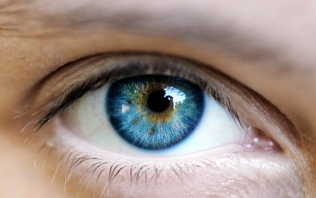 Bunda gözde geçici körlük veya bulanık görme; kısa süreli konuşma veya anlama bozukluğu;