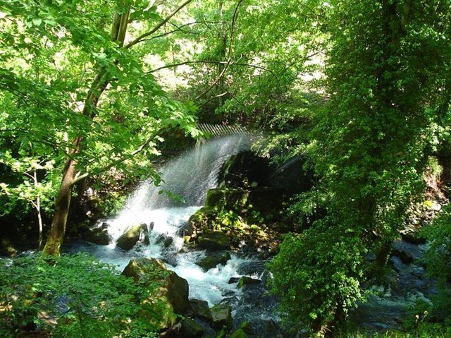 Kaz dağlarının, muhteşem doğası ve oksijen dolu temiz havası sizleri bekliyor.