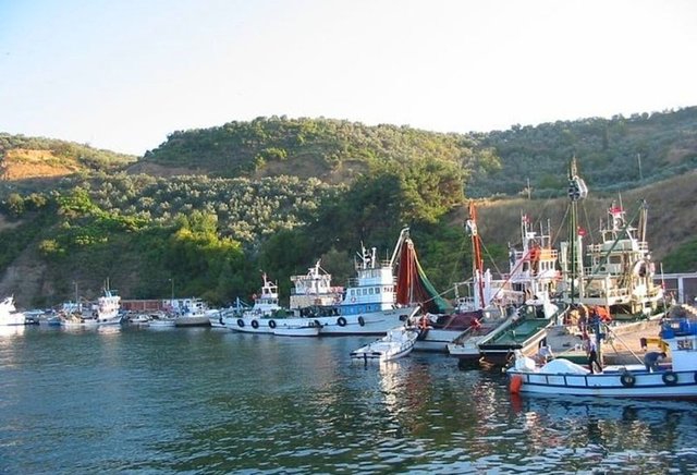 Trilye'nin dünyaca ünlü zeytininden almadan buradan dönmeyin.