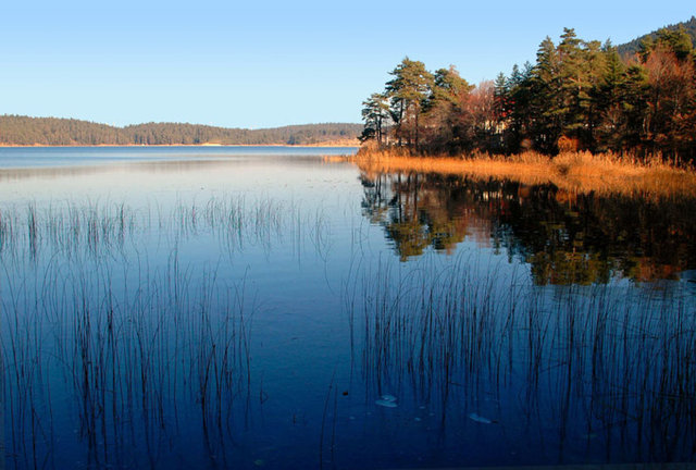 Bu eşşiz doğa içinde saatlerce dolaşabilir veya sevdiklerinizle başka aktiviteler yapabilirsiniz.