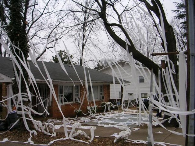 Amerika ve Kanada'da evlerin bahçelerine tuvalet kağıdı ve yumurta atma gibi şakalar yayılmaya başlamıştır.