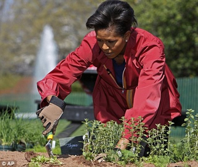 Bahçe 2009 yılında sağlıklı yaşam tarzıyla bilinen Michelle Obama tarafından açıldı.