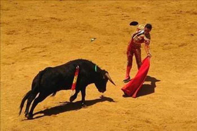 18- İspanya -  - Üstün zekalı kişi sayısı 354 bin.