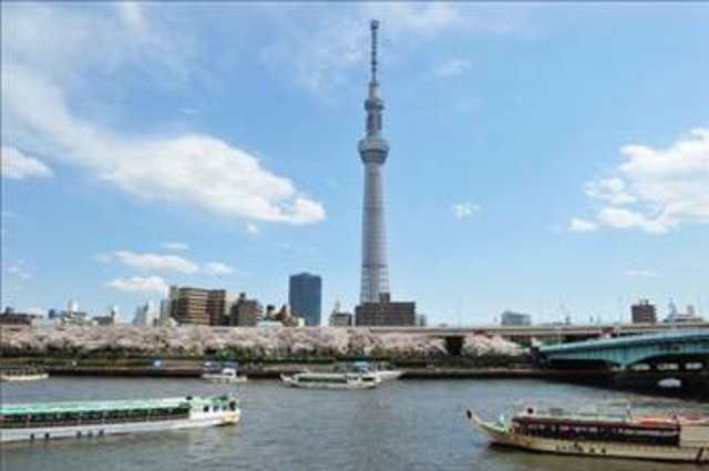 2- Japonya - Japonya'da üstün zekalı 5,1 milyon kişi yaşıyor.