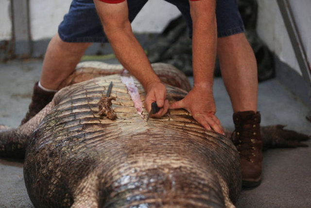 Avladıkları hayvanı satan aile müthiş bir gerçekle karşı karşıya kaldı..