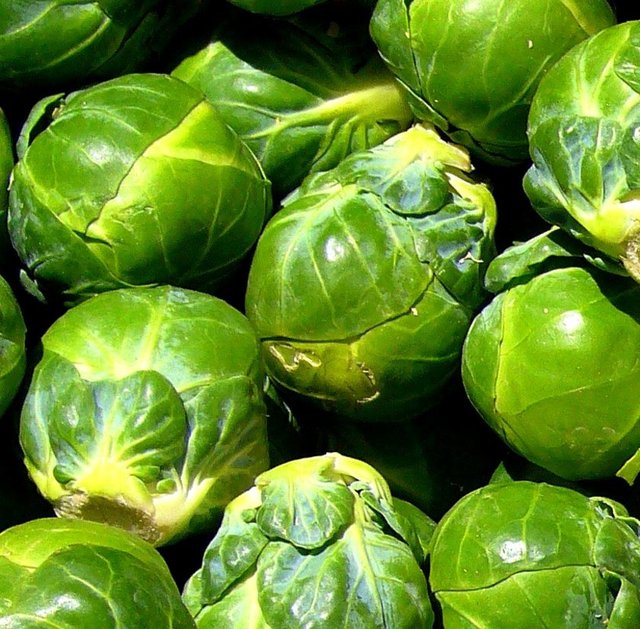 Bu küçük sağlık topları yaşamımıza renk katmak için var sanki… -