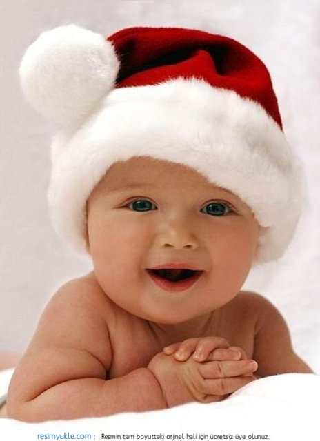 eğer kocası ölmeseydi 2 ya da 3 tane daha çocuk sahibi olabilirdi. Kitabın yazarı ve Elizabeth'in son çocuğu babası William Greenhill 1660'larda vefat ettikten sonra dünyaya gelmişti.