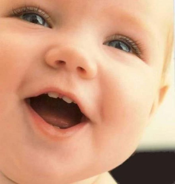 Gerardo'nun anlattığına göre Şili'ye taşınmadan önce karısı 5 kez hepsi erkek üçüz doğurmuştu. Bu, Şili'de 1981'de 55 yaşındaki Leontina 55'inci çocuğunu doğurana kadar da devam etti.