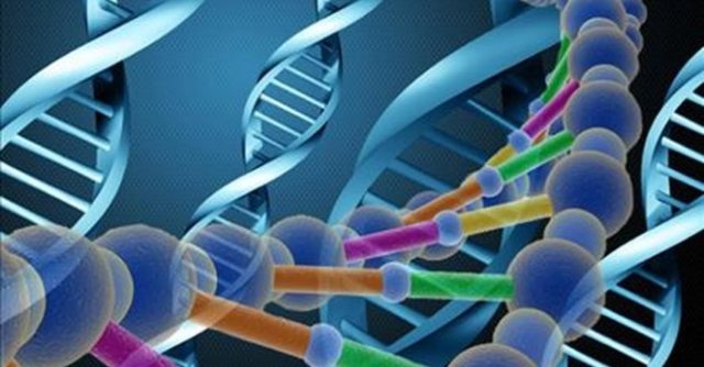 Duruma fiziksel olarak çok katkımız olamasa da en azından onların hatalarından ders çıkarabiliriz