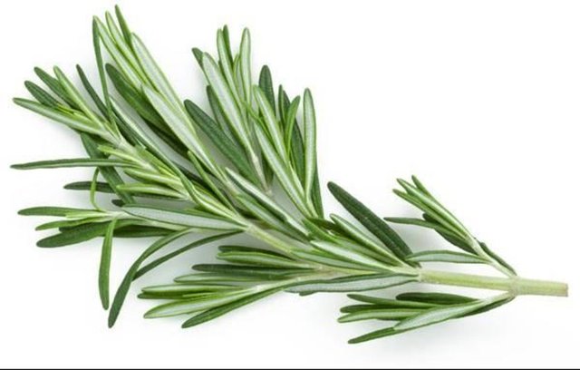 Açlık kan şekeri, sekiz ila 12 saat yiyeceksiz kalındığında (genellikle gece) ölçülen şeker değeridir.