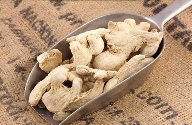 Metabolism dergisinde yayımlanan bir araştırma sonucuna göre, zencefil gıda termik etkisini artırır ve tokluk duygusunu destekler.