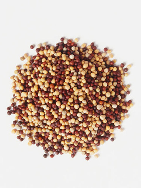 Bu hormon, "bej yağlar" denilen, kalori yakan ve kilo kontrolünü sağlayan yağ hücreleri grubunu uyarır.