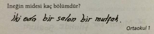 Dikkat sınav var!Ahmet Gülüm ve Kemal Gönen'in Türkiye'nin her yanındaki okullardan örnekler alarak, gerçek yazılı kâğıtlarından derlediği "Dikkat yazılı var" kitabının devamı olan "Yine mi yazılı var?" kitabı yine birbirinden ilginç örneklerle dolu.