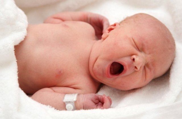 Yumuşak sesler duyduğunda rahatlıyor ve bazı tipik hareketler yapıyor.