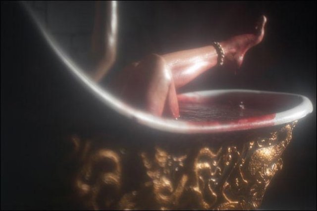 Söylentiye göre Bram Stroker'ın ünlü kitabı Dracula'da Kazıklı Voyvoda'nın yanı sıra Kontes de ilham kaynağı olmuştur.