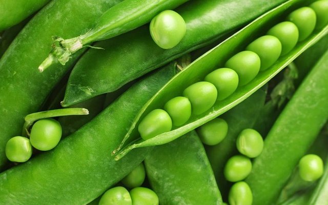 Çünkü bezelye bol miktarda içerdiği B vitamini sayesinde saçlarınızın uzamasını hızlandırır ve oksijenin saç diplerinize taşınmasını sağlar.