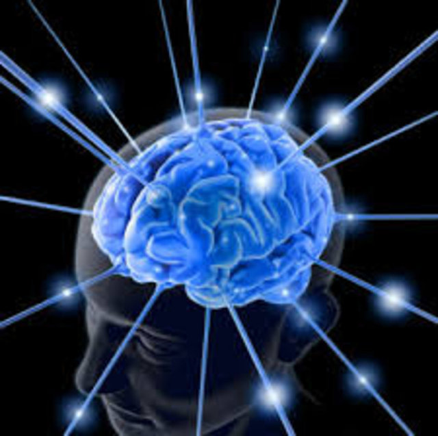 2.Beyninizi korumaya yardımcı olabilir. - Bulmaca ve yapboz çözmenin Alzheimer hastalığından korunmaya yardımcı olduğu bilinen bir gerçek. Yeni ilgi alanları ve deneyimlere açık olmak da size aynı faydayı sağlıyor. -