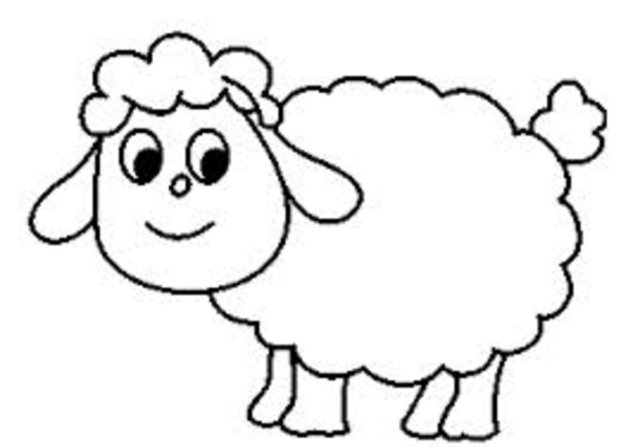 5. Bir çiftçinin 17 koyunu vardı. Sürüde salgın hastalık oldu, dokuzu ağır hastalandı, diğerleri öldü. Çiftçinin kaç koyunu var? -  -