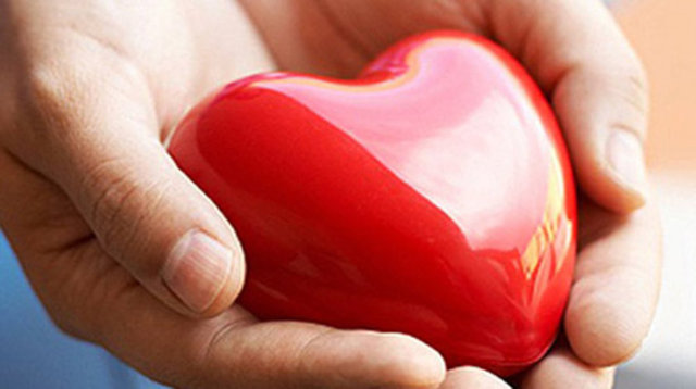 Organ, doku ve hücre nakilleri