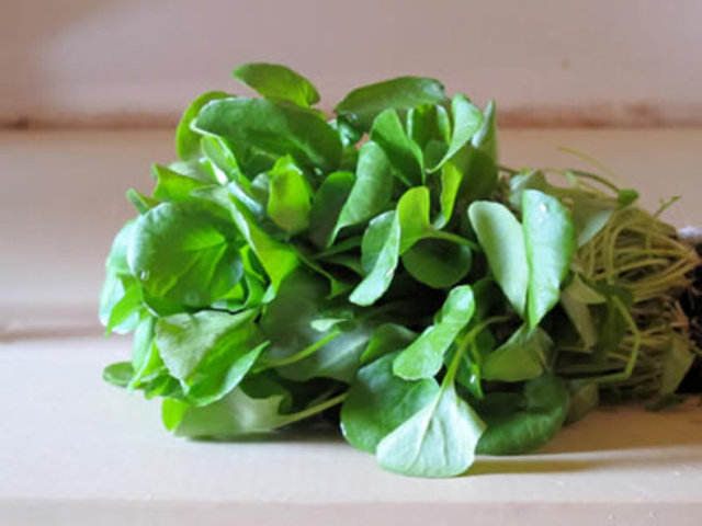 Koyu yeşil yapraklı sebzeler:   Ispanak, roka, tere, pazı gibi koyu yapraklı sebzeler yüksek klorofil içeriği sayesinde vücutta biriken çevresel toksinleri emme özellikleri var.