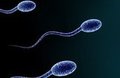 Sperm sayıları zaman içinde önemli derecede değişebilir.