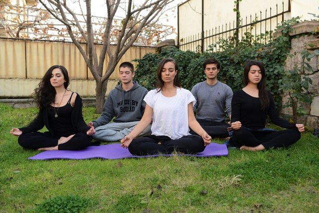 Yoga yaparak rahatlıyorlar... / Yılanların Öcü