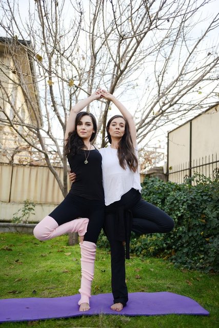 Yoga yaparak rahatlıyorlar... / Yılanların Öcü