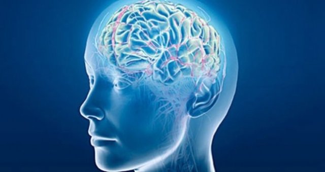 5-Merkezi sinir sistemi hastalıkları:   Beyin damarlarında tıkanma, beyin travması, beyin tümörleri ve enfeksiyonlar.