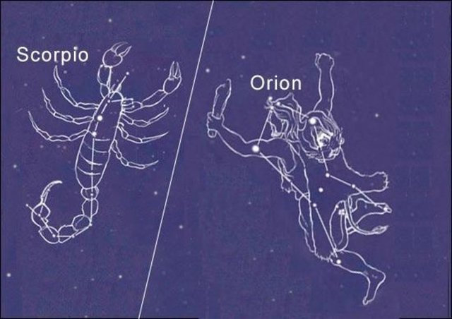 Orion yıldızının akrep Burcu'ndan hep uzaklaşmakta olmasının nedeni buymuş. İlk hikayede bahsedilen ise, yollanan akrepten kaçmaya çalışan Orion denize dalar, bu sırada Orion'u gören ve onun yakışıklılığından etkilenen Artemis, oklarını akrebe yöneltir.