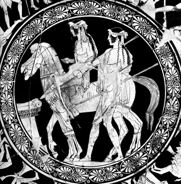 Yıldızlara ismi verilen bu iki kardeş, Sparta'da birlikte büyür ve çok da iyi anlaşırlar. İki delikanlı Altın Post'u bulmaya giden Jason'un yanında da yer alırlar. İki genç, iki kız kardeşe aşık olurlar.