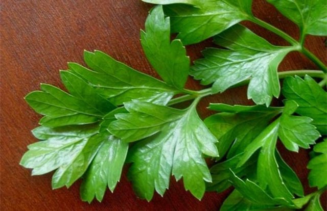 5-Her gün 5-10 dal maydanoz tüketin   Yemeklerin yanında saplarıyla birlikte tüketilecek 5-10 dal (20 gram) maydonoz, kişinin günlük C vitamini gereksiniminin üçte birini, beta karoten ihtiyacının ise yüzde 10'unu karşılıyor.