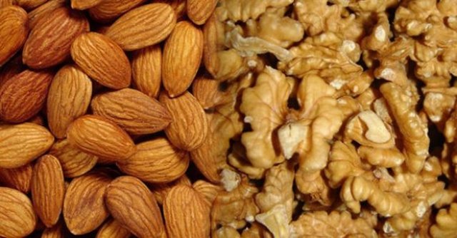 Balığın yanısıra fındık-ceviz-badem gibi kuruyemişler de vücudun direncini artırmada önemli.