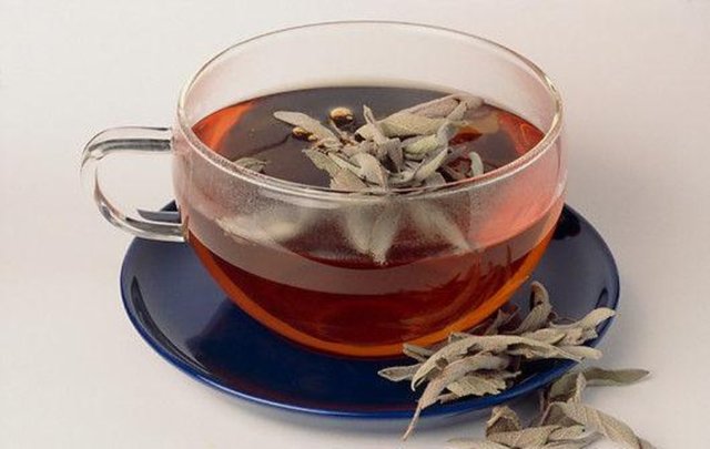 10-Adaçayı:   Antioksidan bakımından zengin olan adaçayı, soğuk algınlığına iyi geliyor.