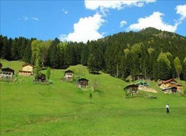 Rize  - Verdiği göç: 15.859  - Aldığı göç: 16.842