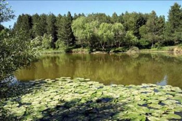 Bitlis  - Verdiği göç: 16.174  - Aldığı göç: 11.314
