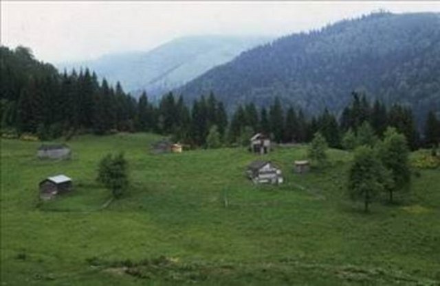 Trabzon  - Verdiği göç: 29.988  - Aldığı göç: 25.115  -