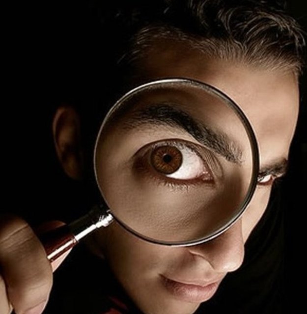 Şüphelerini aydınlığa kavuşturabilen, kendini yenileyebilen yüzeyde olanlarla yetinmeyen, araştırmadan güvenmeyen.