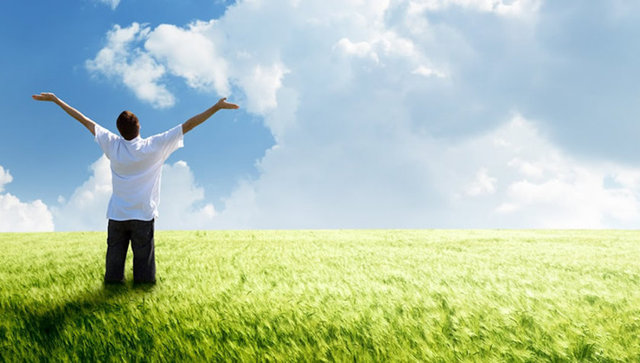 Mantıklı, becerikli, akıllı, başkalarıyla kolaylıkla bağlantı kurabilen aşkı önemseyen, sorunlardan pek hoşlanmayan.