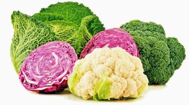 Lahana, brokoli ve karnabahar karışımının radyasyonun olumsuz etkilerine karşı hücreleri koruduğu kanıtlandı.