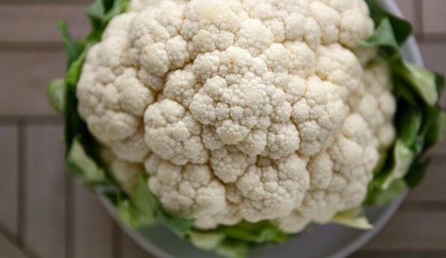 DIM verilmeyen farelerin ise tamamı öldü. Hayatta kalan farelerde, alyuvar, akyuvar ve kan değerlerinin iyi olduğu, hücre kaybı görülmediği belirlendi.