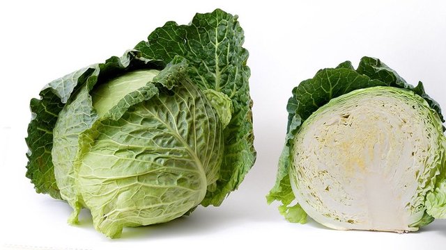 Profesör Doktor Rosen'e göre bunlardan biri radyasyon tedavisi gören kanser hastalarında normal doku ve hücrelerin korunması, ikincisi de insanların nükleer bir felaketin öldürücü sonuçlarından korunmasının sağlanması. -