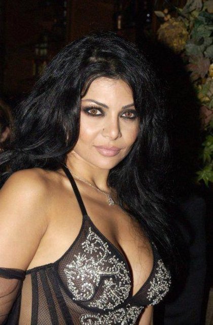 Wehbe, son olarak geçen çarşamba günü katıldığı Pan-Arap "Arap Star Akademisi" ses yarışmasında konuk olduğu sırada giydiği transparan elbise ile gündeme gelmişti.
