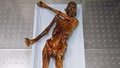 <p>Ötzi, 19 Eylül 1991 tarihinde, 3 bin 208 metre yükseklikteki Alp Dağları'nın Tisenjoch mevkiinde dağcılar tarafından tesadüfen bulunmuştu. Ötzi'nin vücudu ölümünden bu yana buzul altında kaldığı için son derece iyi korunmuş durumdaydı.</p>